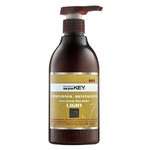 Repair Light Conditioner | Saryna Key