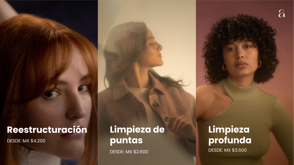 Copia de Bitual PPT General  (1)